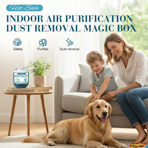 π₯ Limited-Time Pre-Saleβ°Indoor Air Purification Dust Removal Magic Boxπ