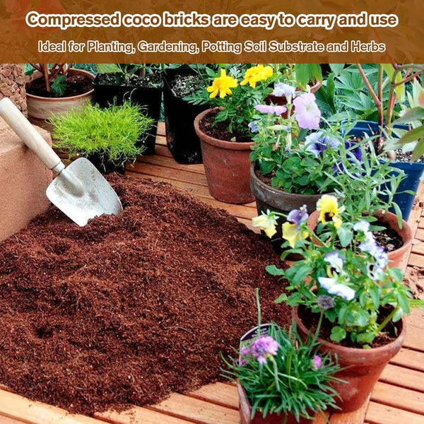 ✨Premium Organic Coconut Coir Bricks for Plants(Size:5*1.5cm)