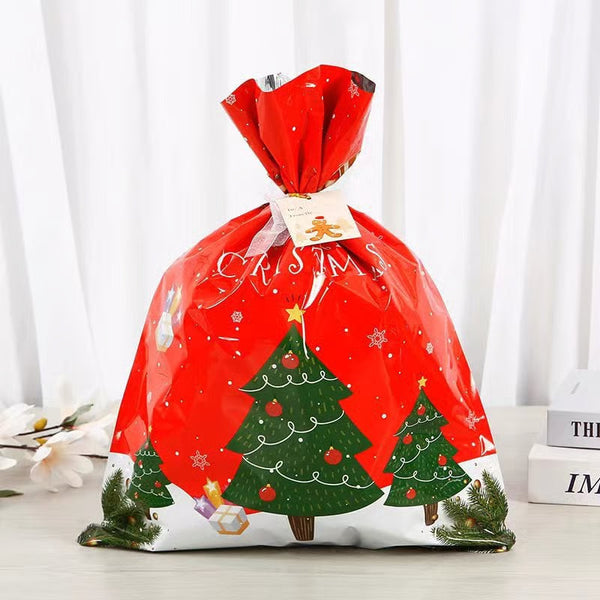 π Tie rope Christmas Gift Bags