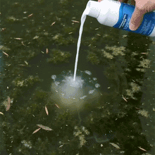 Pool Water Purifier Liquid