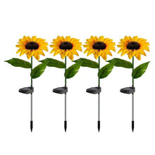 Solar Sunflower Lights