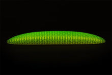 🔥Worm Big Fidget Toy